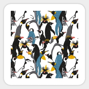 We love penguins // black white grey dark teal yellow and coral type species of penguins (King, African, Emperor, Gentoo, Galápagos, Macaroni, Adèlie, Rockhopper, Yellow-eyed, Chinstrap) Sticker